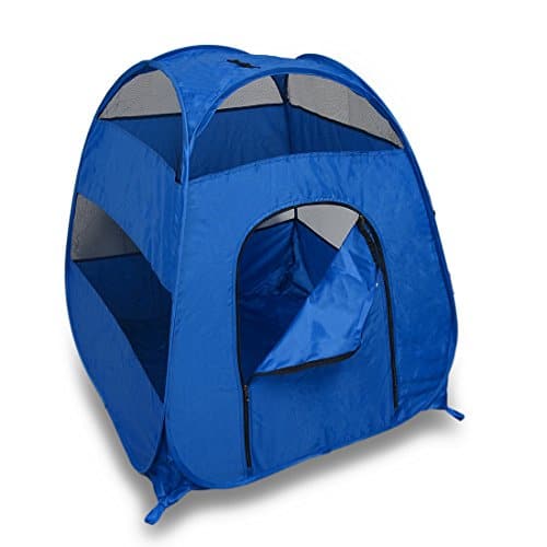 dog tent