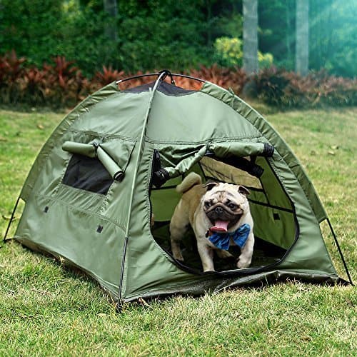 dog tent