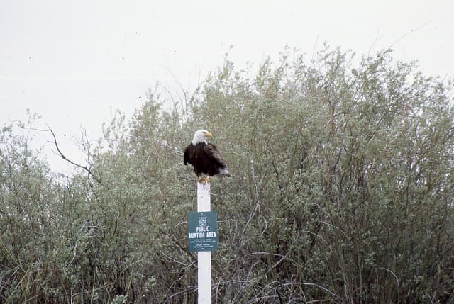 Best crater lake camping - Upper Klamath National Wildlife Refuge