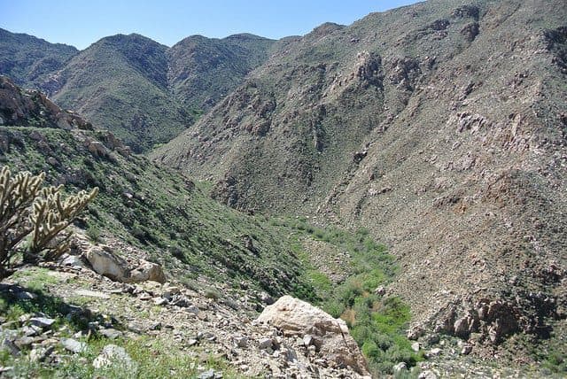 The Best Anza Borrego Camping DeAnza Springs Resort