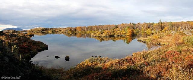 The Best Camping in Iceland - Heidarbear