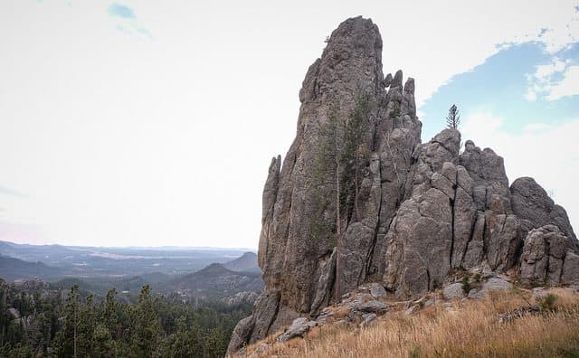 The Best Custer State Park Camping - Beaver Lake Campground