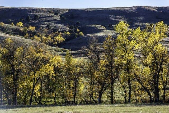 The Best Custer State Park Camping - Fort Welikit Family Campground