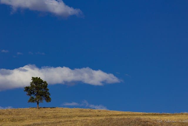The Best Custer State Park Camping - French Creek RV Park and Campground
