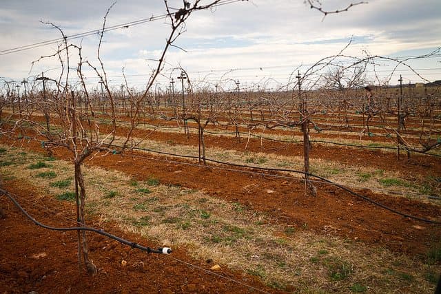 The Best Enchanted Rock Camping - Texas Wine Country Jellystone Park