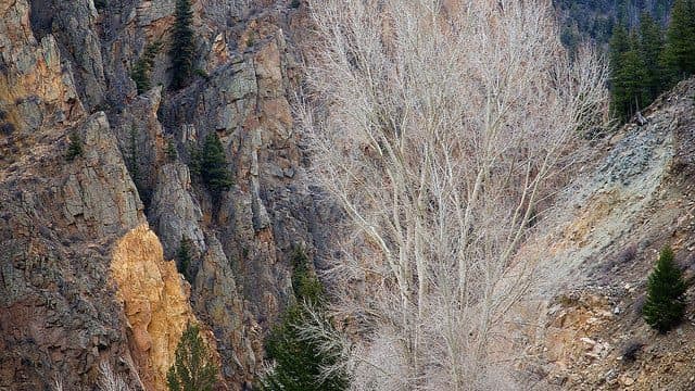 The best red feather lakes camping - Denver East KOA