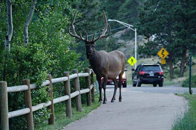 The best red feather lakes camping - Estes Park KOA