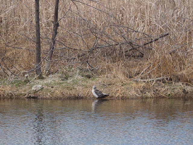 The best red feather lakes camping - Fort Collins Lakeside KOA