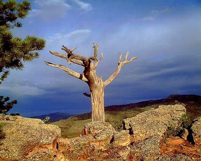 The best red feather lakes camping - Fort Collins North KOA