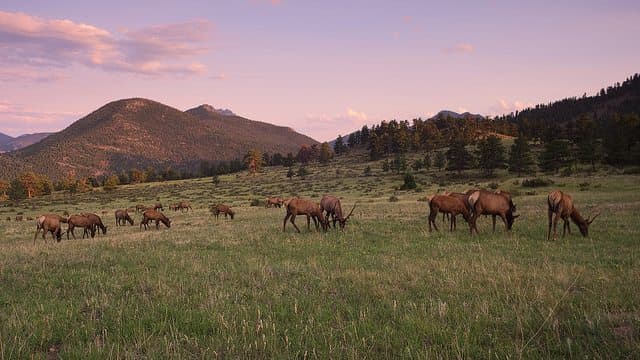 Yogi Bear Jellystone Campground