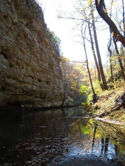 The best shawnee national forest camping - Bear Branch Horse Camp