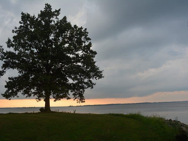 The best shawnee national forest camping - Benton KOA