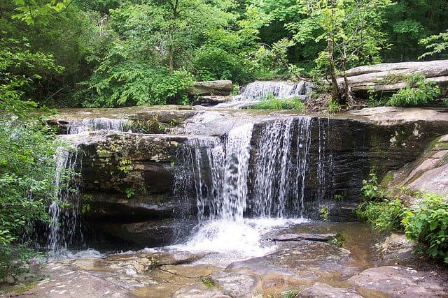 The best shawnee national forest camping - Haynes Canyon Campground
