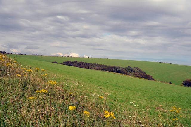 Best UK Campsites - Blackberry wood