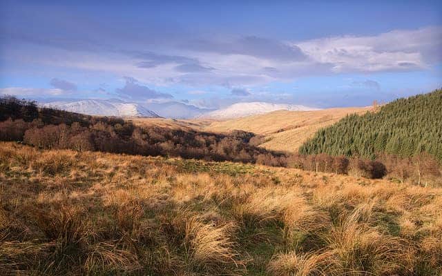 Best UK Campsites - Mains Farm Wigwams