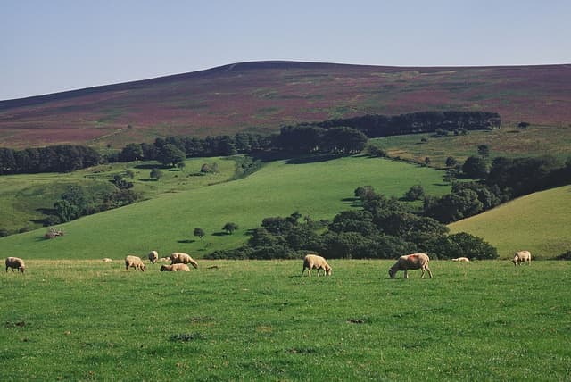 Best UK Campsites - Westermill Farm