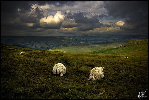 Best UK Campsites - Upper Booth Camping