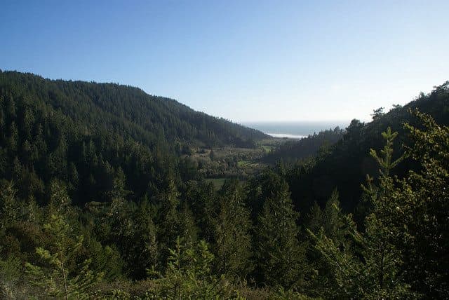 Best Camping in Big Basin - Alder Trail Campground