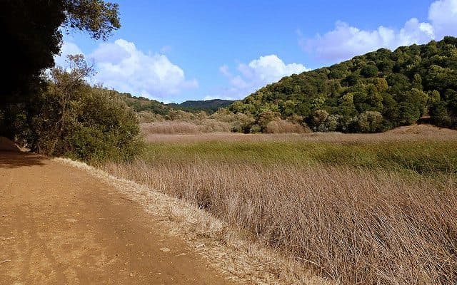 Half Moon Bay Camping - Anthony Chabot