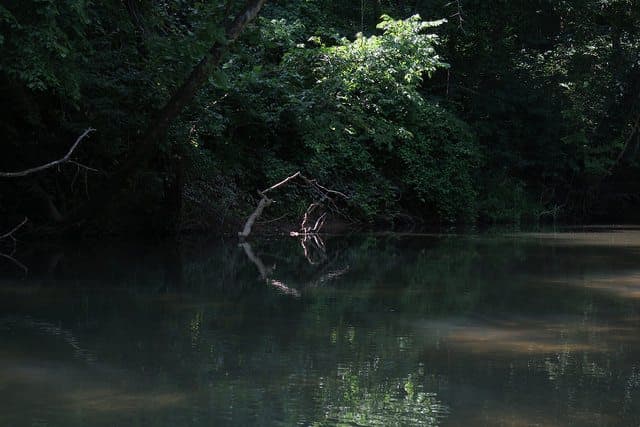 The Best Mark Twain Camping - Bass Resort