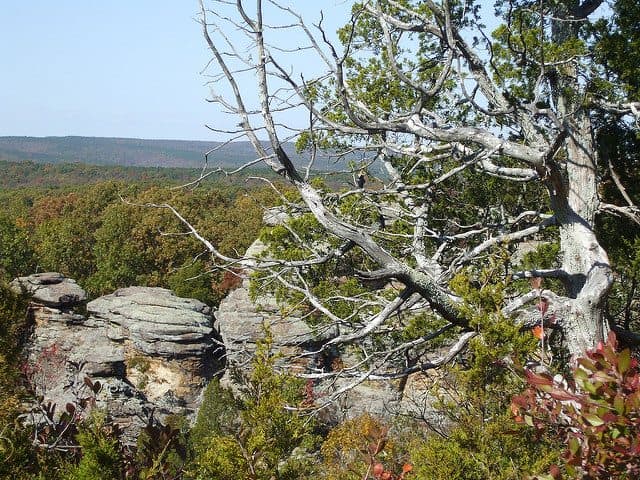 Best Camping in Illinois - Camp Cadiz