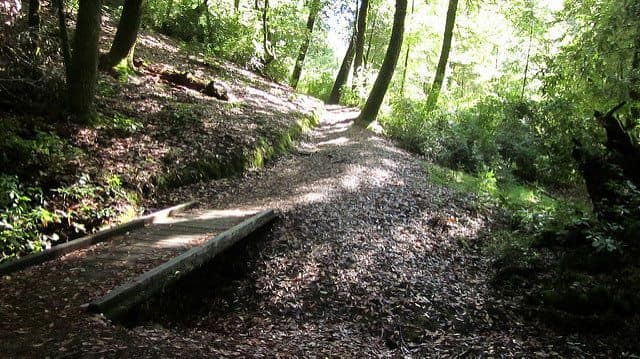 Best Camping in Big Basin - Camp Herbert