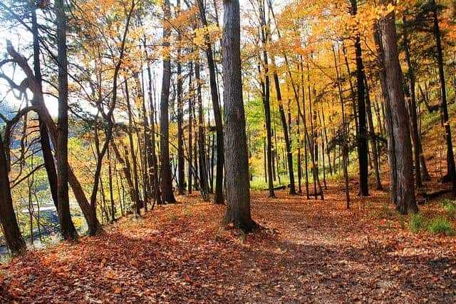 Best Camping in Letchworth State Park - Canaseraga