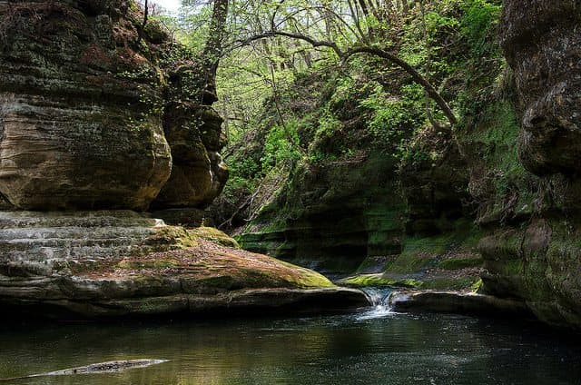 Best Camping in Starved Rock - Cozy Corners Campground