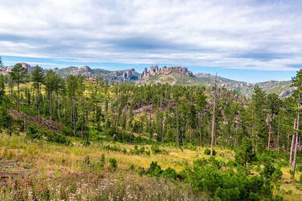 The Best Custer State Park Camping