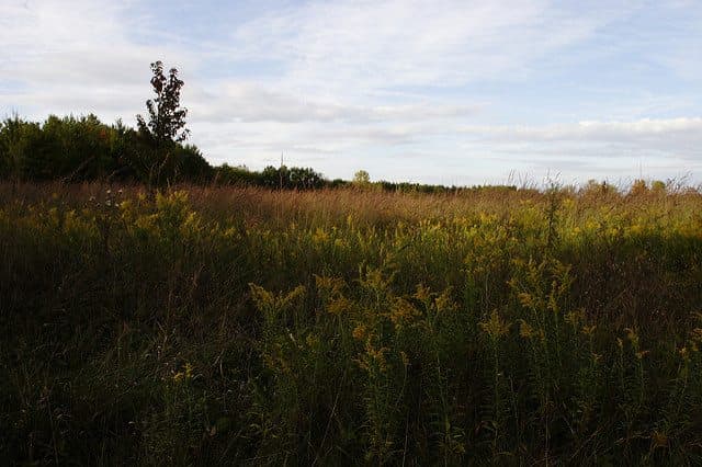 Best Camping in Illinois - Eagle Creek
