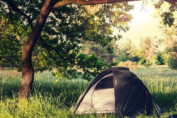 The Best Camping in Florida