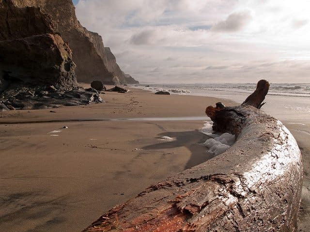 Half Moon Bay Camping - Francis Beach