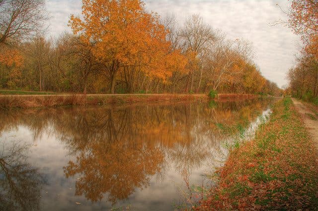 Best Camping in Illinois - Gebhard Woods State Park