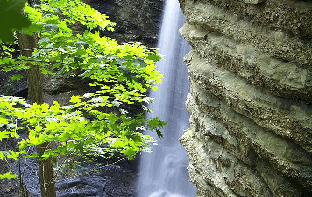 Best Camping in Starved Rock - Grizzly Jack's Resort