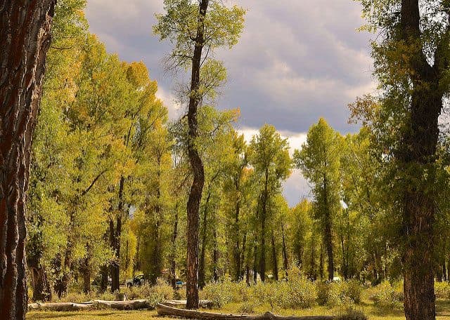 Best Camping in Grand Teton National Park - Gros Ventre