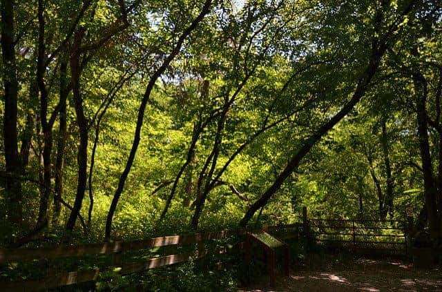 Best Camping in Starved Rock - Illini Campground