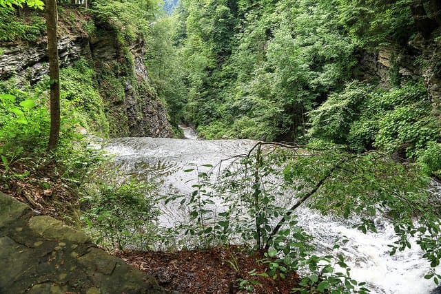 Best Camping in Letchworth State Park
