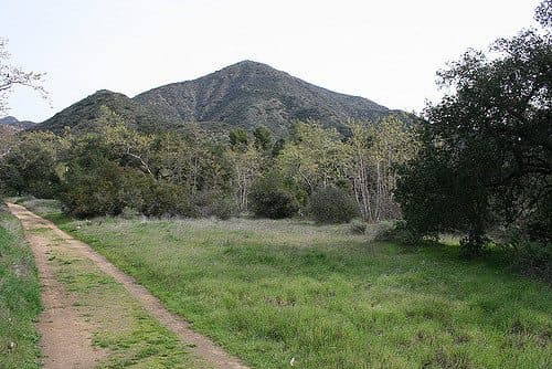 Best Camping in Doheny - Live Oak Grove Campground