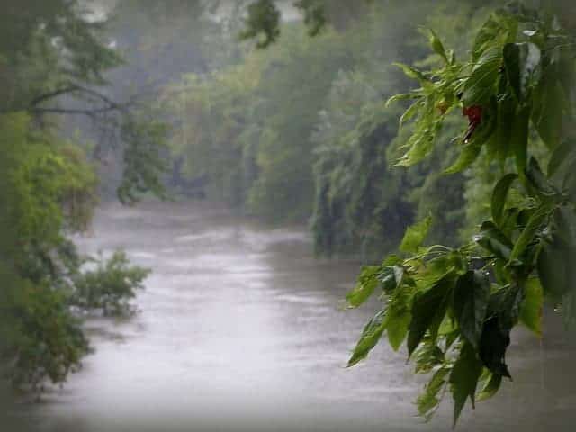 Best Camping in Illinois