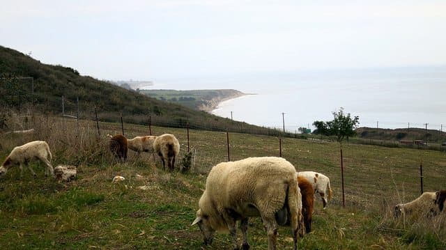 The Best Jalama Beach Camping - Ocean Mesa
