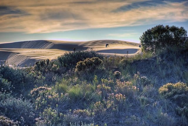 The Best Jalama Beach Camping - Oceano