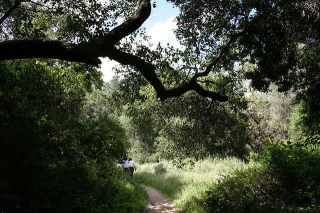 Best Camping in Doheny - O'Neil Regional Park Campground