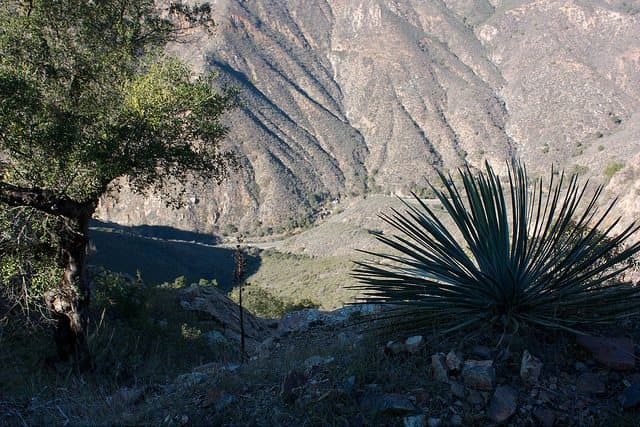 Best Camping in Doheny - Ortega Oaks Campground
