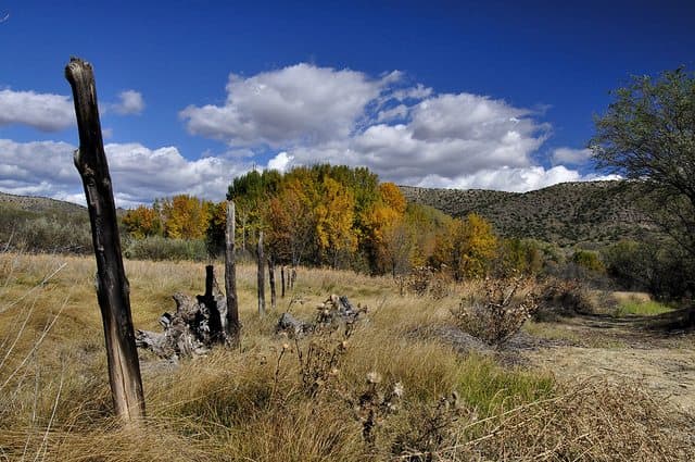 Best Camping in Sedona - Page Springs