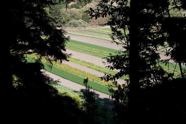 Best Camping in Big Basin - Rancho Del Oso