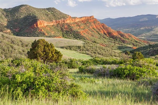 The Best Red Feather Lakes Camping