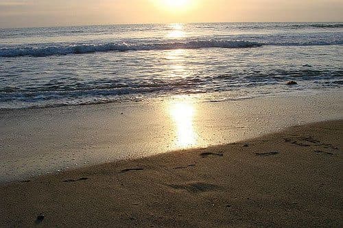 Best Camping in Doheny - San Clemente State Beach