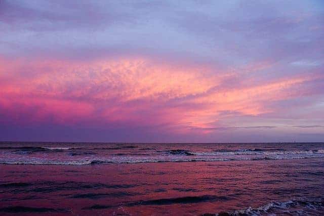 Best Camping in Texas - Sea Rim Campground