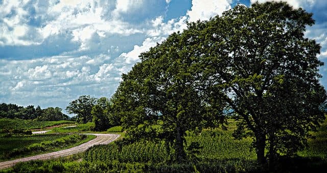 Best Camping in Letchworth State Park - Southern Shores