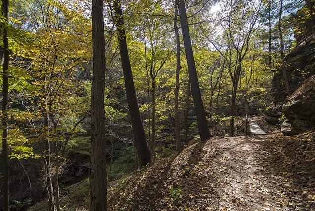 Best Camping in Starved Rock - Starved Rock Cabins